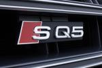 Audi SQ5 3.0 TFSI 2017 года (JP)